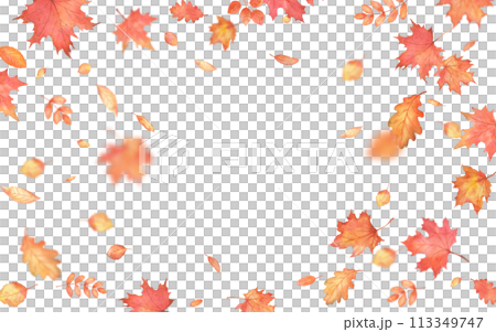 Autumn falling leaves frame. Autumnal foliage fall and orange maple leaves flying in wind motion blur. Autumn falling leaves frame. Autumnal foliage fall and orange maple leaves flying in wind motion blur. 113349747