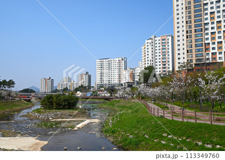 ソウル郊外の住宅地・春の風景【慰礼新都市】 113349760
