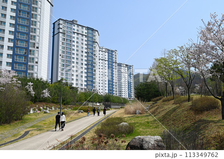 ソウル郊外の住宅地・春の風景【慰礼新都市】 ソウル郊外の住宅地・春の風景【慰礼新都市】 113349762