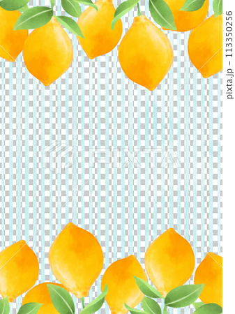 綺麗なレモンの果実とストライプ柄の背景イラスト 113350256