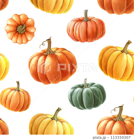 Pumpkin seamless pattern. Watercolor painted illustration. Hand drawn ripe orange autumn pumpkins decoration. Thanksgiving and halloween bright seamless pattern element. White background 113350307