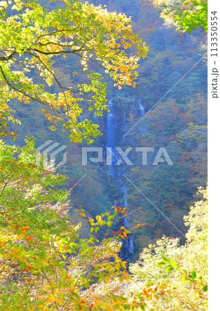蛇王の滝／栃木県日光市 113350554