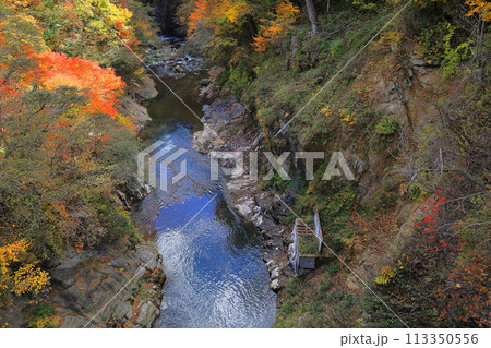 紅葉する川俣温泉郷 113350556