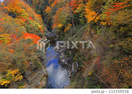 紅葉する川俣温泉郷 113350558