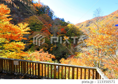 紅葉する川俣温泉 113350571