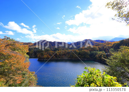 紅葉する川俣湖／栃木県日光市 113350578