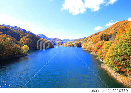 紅葉する川俣湖／栃木県日光市 113350579