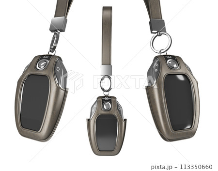 Car remote control key set in lather case realistic 3d render on white Car remote control key set in lather case realistic 3d render on white 113350660