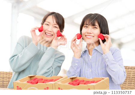 イチゴを手に持って笑顔を見せる若い女性 イチゴを手に持って笑顔を見せる若い女性 113350737