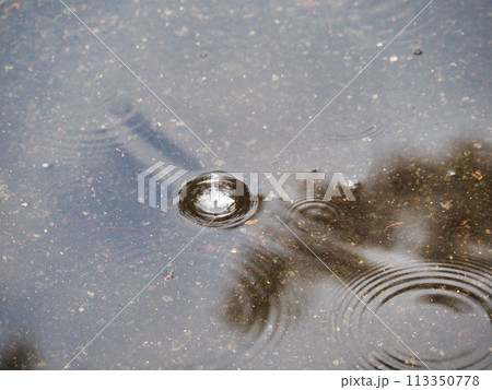 水面に落ちた水滴 水面に落ちた水滴 113350778