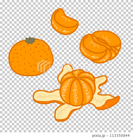 illustration of various tangerines 113350844