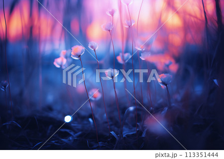 Mystical Floral Whispers Mystical Floral Whispers 113351444