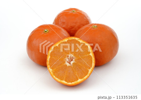 みかん セミノール 和歌山県由良産 みかん セミノール 和歌山県由良産 113351635