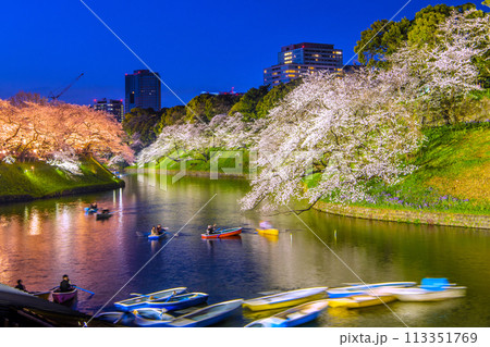 日本の東京都市景観 桜が満開を迎えた千鳥ヶ淵。ライトアップされた桜などを望む…＝令和6年4月7日 113351769