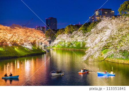日本の東京都市景観 桜が満開になった千鳥ヶ淵。ライトアップされた桜などを望む…＝令和6年4月7日 113351841