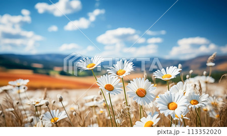 Spring and Summer Colorful Blossoms in a...のイラスト素材 [113352020] - PIXTA