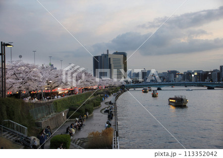 夜桜を見に行く。隅田川の桜並木は桜祭りの真っ最中。屋形船の灯りも心を惹きつけて最高の桜見物 夜桜を見に行く。隅田川の桜並木は桜祭りの真っ最中。屋形船の灯りも心を惹きつけて最高の桜見物 113352042