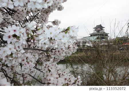 桜と清須城 113352072
