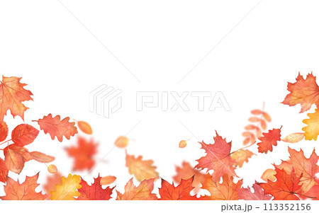 Autumn falling leaves on white background. Autumnal foliage fall and orange maple leaves flying in wind motion blur. Copy space Autumn falling leaves on white background. Autumnal foliage fall and orange maple leaves flying in wind motion blur. Copy space 113352156