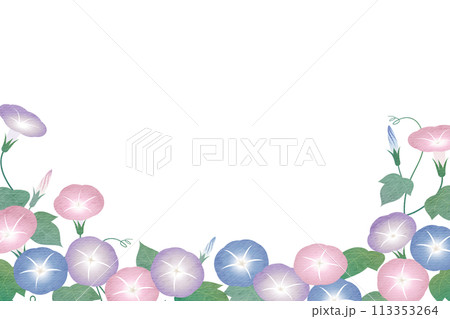 朝顔（アサガオ） のフレーム 113353264