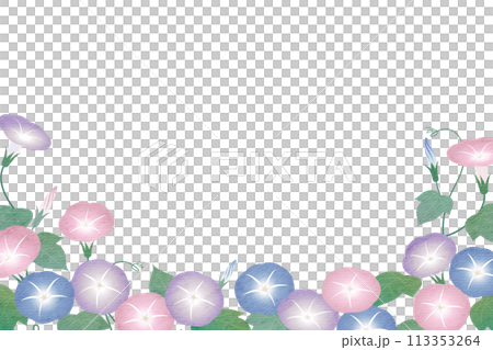 朝顔（アサガオ） のフレーム 113353264