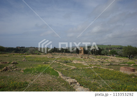 ディオスクーリ神殿とその周りの風景 ディオスクーリ神殿とその周りの風景 113353292