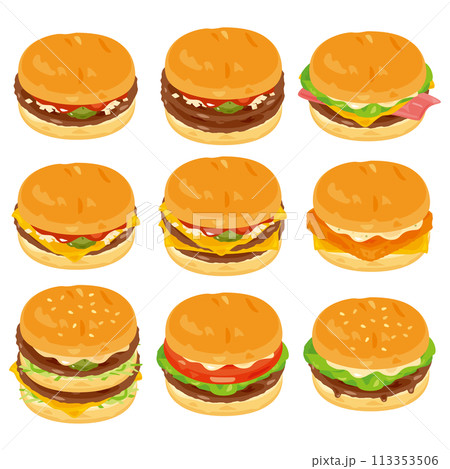 色々な種類のハンバーガーセット 113353506
