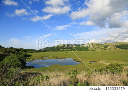 夏の八島湿原 夏の八島湿原 113353679