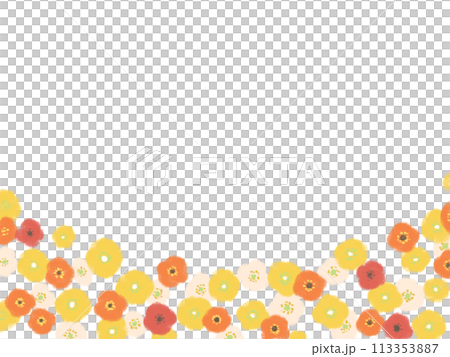 罌粟花花園框架 113353887