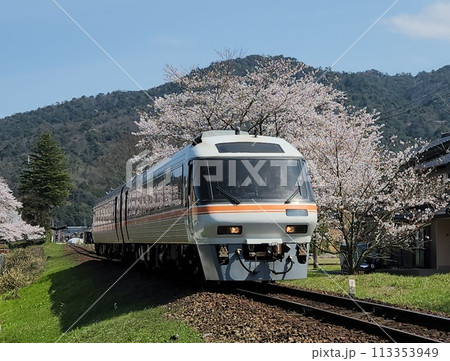 桜とKTR8500系たんごリレー号 113353949