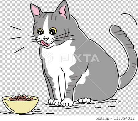 手繪彩色插圖，一隻貓看起來很高興，好像牠吃過食物一樣 113354013