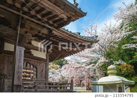 Onjoji temple, or Miidera, with cherry blossom at Mount Hiei in Otsu city in Shiga, Japan. Translation 113354795