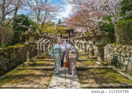 Onjoji temple, or Miidera, with cherry blossom at Mount Hiei in Otsu city in Shiga, Japan 113354798