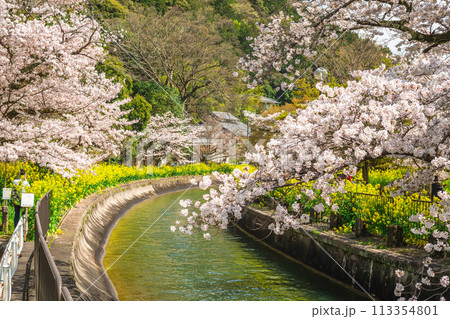 Yamashina Canal, a part of the Lake Biwa Canal in Yamashina District, Shiga, Japan 113354801