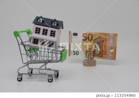 A toy grocery cart and a toy house stand next to a banknote on a stand, real estate purchase A toy grocery cart and a toy house stand next to a banknote on a stand, real estate purchase 113354960