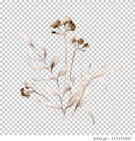 Watercolor floral delicate pastel vintage green violet purple brown bouquet. Hand drawn illustration isolated on white background. Flower and leaves composition for stationary or textile 113355087