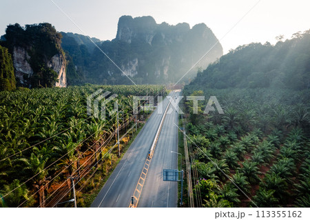 Straight road and palm trees and rocky mountains at Krabi, way to the sea. 113355162