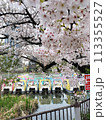満開の桜とボート 113355527