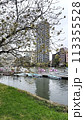 池に咲く桜 113355528