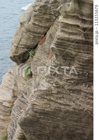 堂ヶ島 亀岩展望地付近 伊豆半島ジオパーク 水底土石流の堆積層 堂ヶ島 亀岩展望地付近 伊豆半島ジオパーク 水底土石流の堆積層 113355678