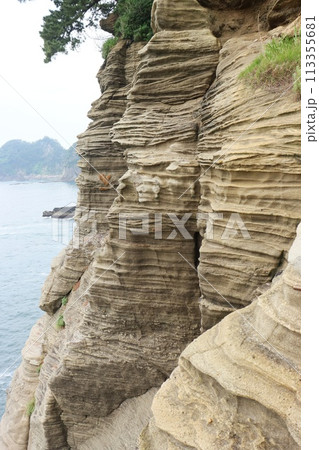 堂ヶ島 亀岩展望地付近 伊豆半島ジオパーク 水底土石流の堆積層 堂ヶ島 亀岩展望地付近 伊豆半島ジオパーク 水底土石流の堆積層 113355681