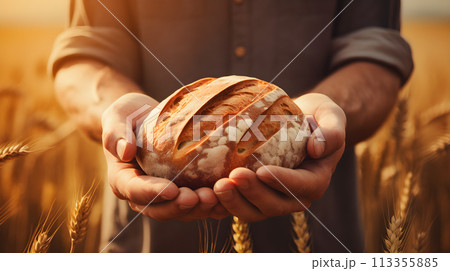 farmer hands holding fresh baked 113355885