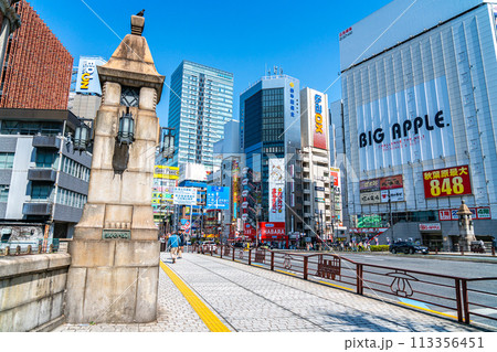 【東京都】万世橋から見える活気のある秋葉原 113356451