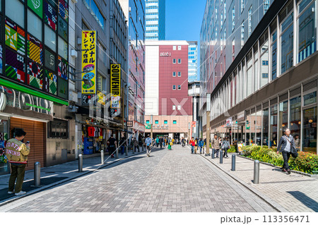 【東京都】たくさんのビルに囲まれた秋葉原駅 【東京都】たくさんのビルに囲まれた秋葉原駅 113356471