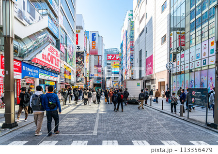 【東京都】たくさんのビルが並ぶ活気のある秋葉原 【東京都】たくさんのビルが並ぶ活気のある秋葉原 113356479