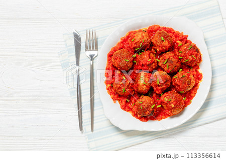 Albondigas, mexican meatballs on plate, top view 113356614