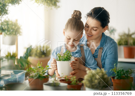 Family caring for plants 113356769
