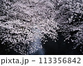 桜 113356842