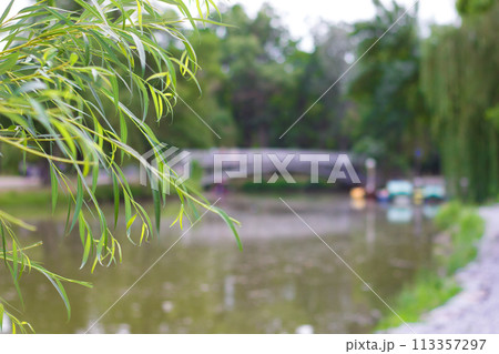 Beautiful bridge on the river - spring photo Beautiful bridge on the river - spring photo 113357297