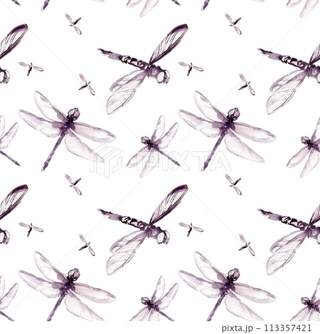 seamless pattern with summer dragonfly insect, monochrome watercolor flying damselfly, flying dragonfly spring wings illustration, water and meadow insects isolated on white background 113357421